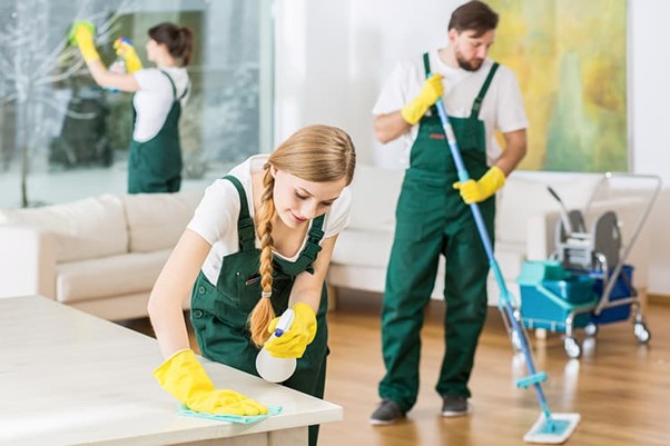 Apartment cleaning