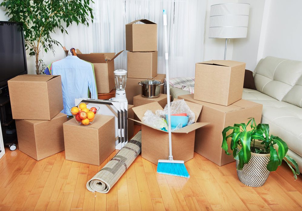 Apartment Move-In and Move-Out Cleaning
